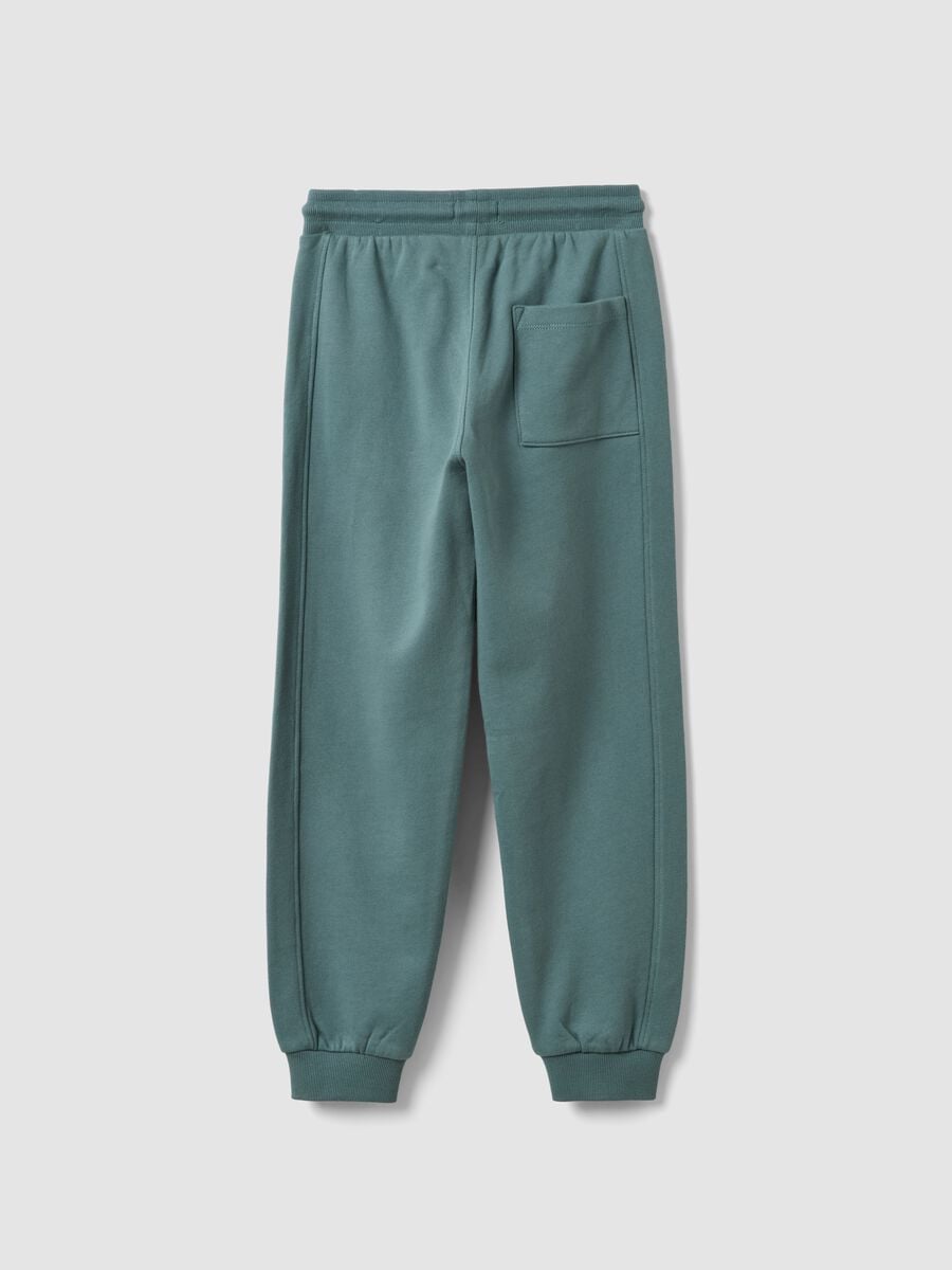 Pantaloni jogger blu in cotone organico_1