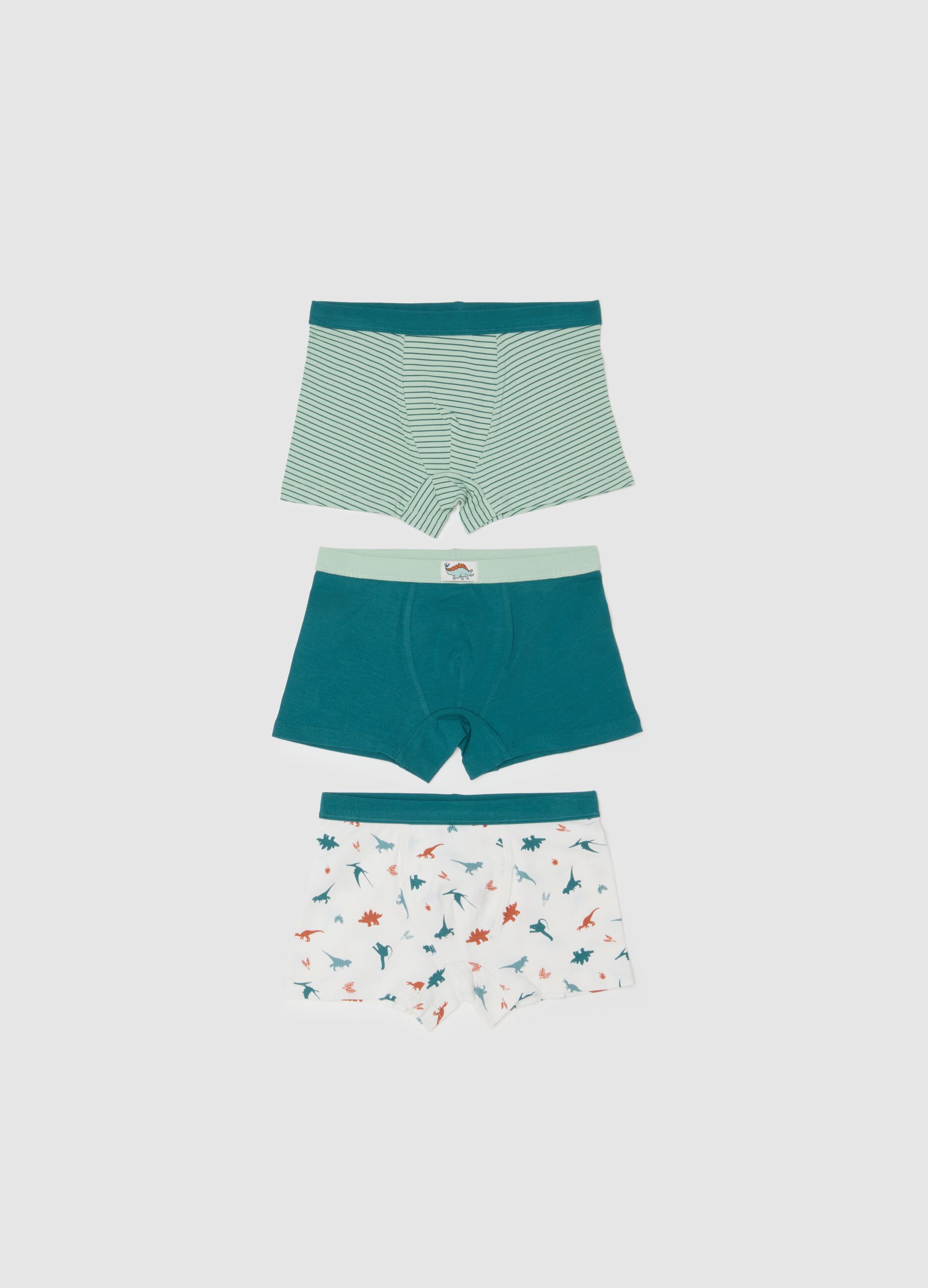 Pack of three multicoloured cotton regular fit boys' briefs