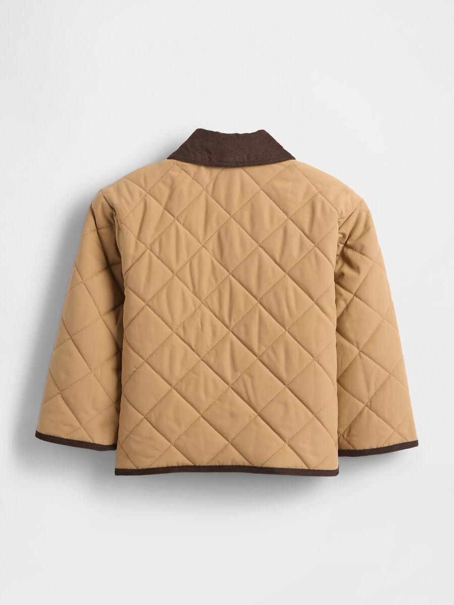 Beige Padded Jacket for Boys_1