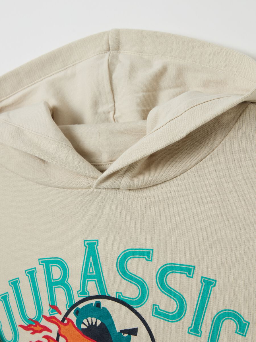 Sweatshirt with hood and "Jurassic Academy" print_3
