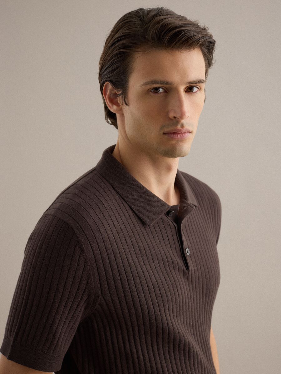 Brown striped short-sleeve pure cotton polo in regular fit_0