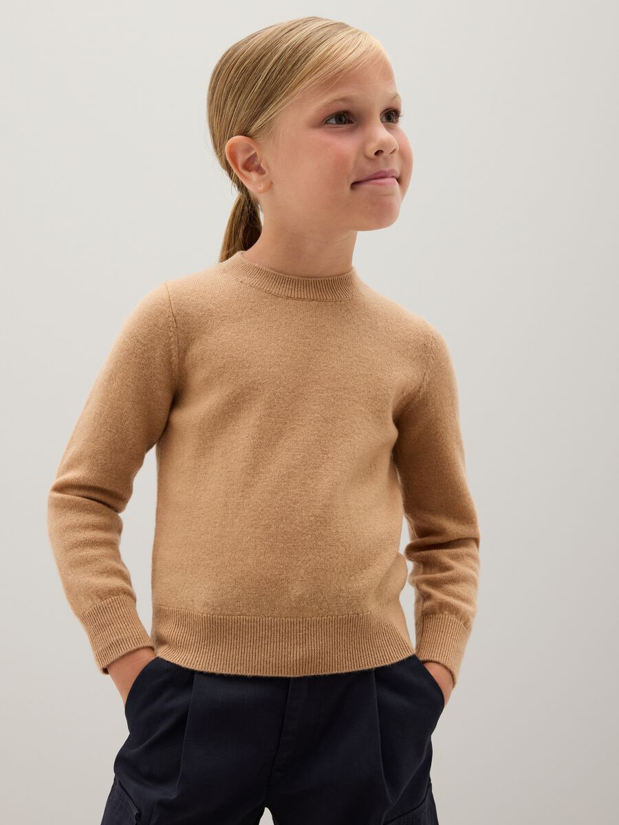 Brown Girl's Pure Wool Pullover _0