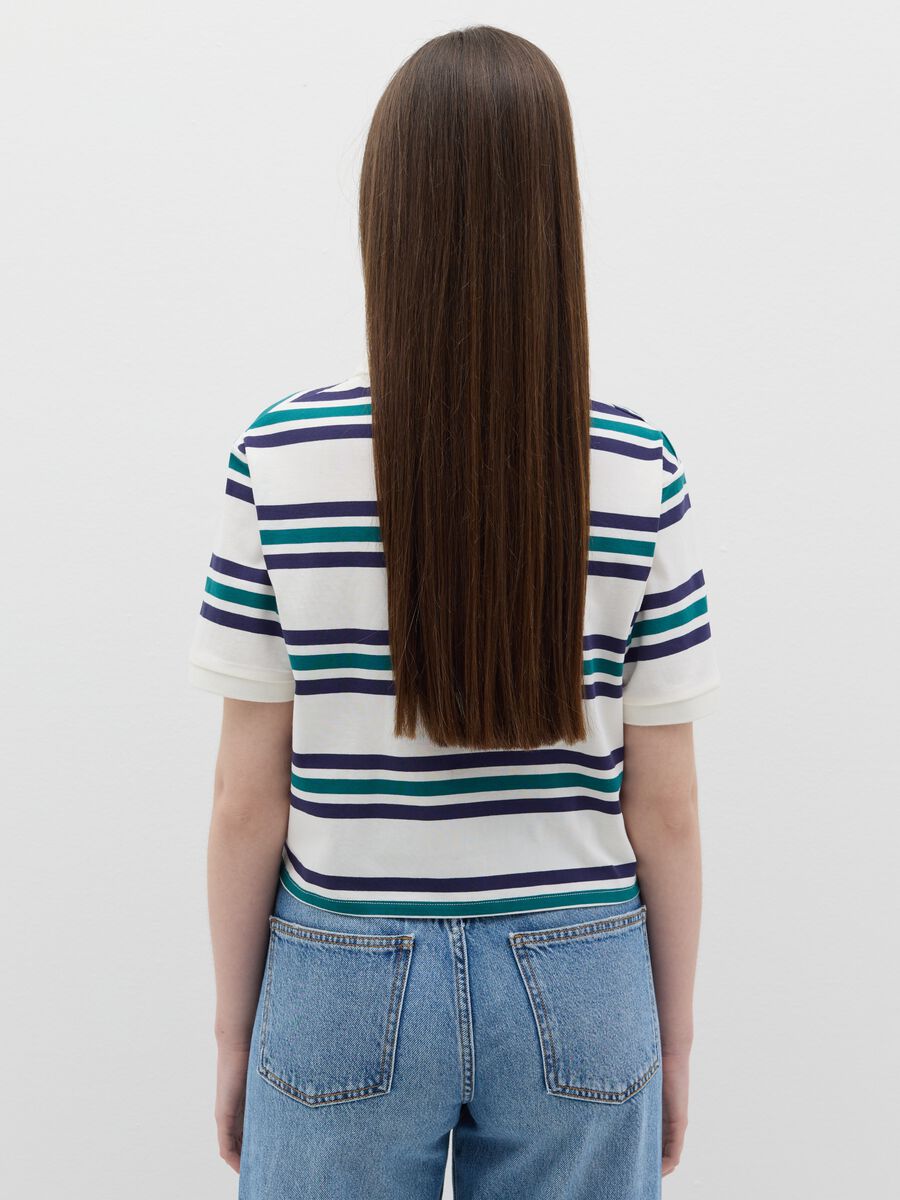 Green and white striped polo shirt_3