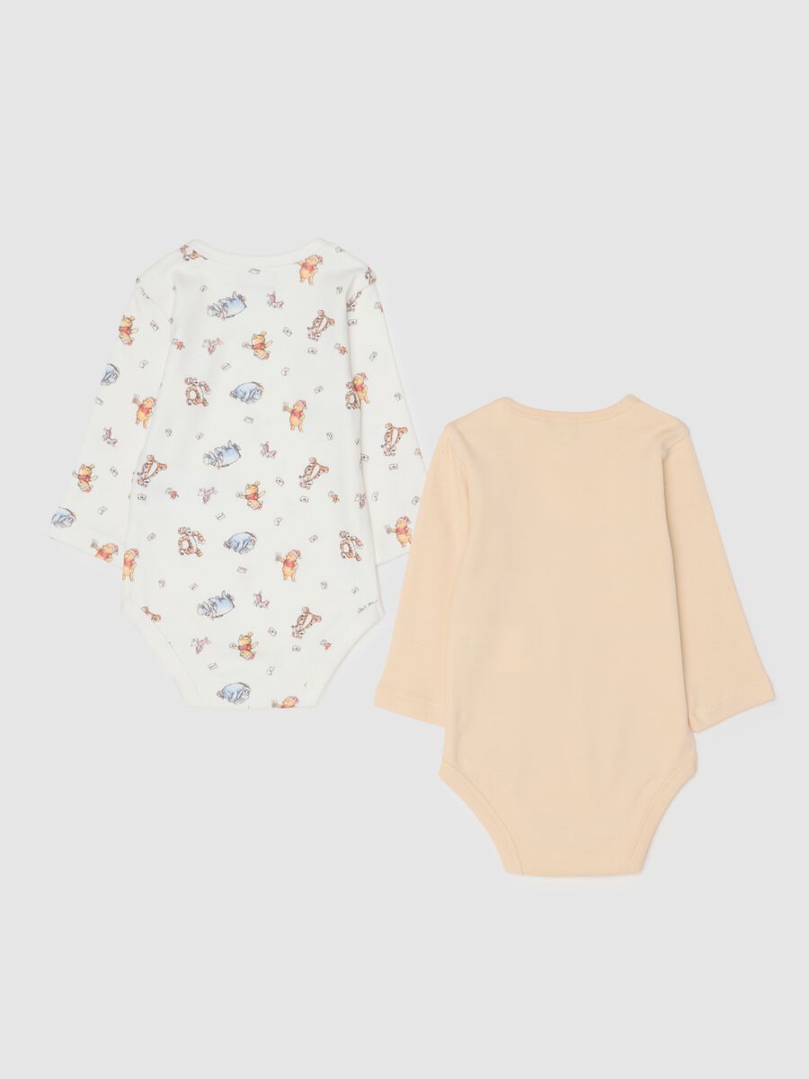 Baby bodysuit twin pack in multicoloured pure cotton_1