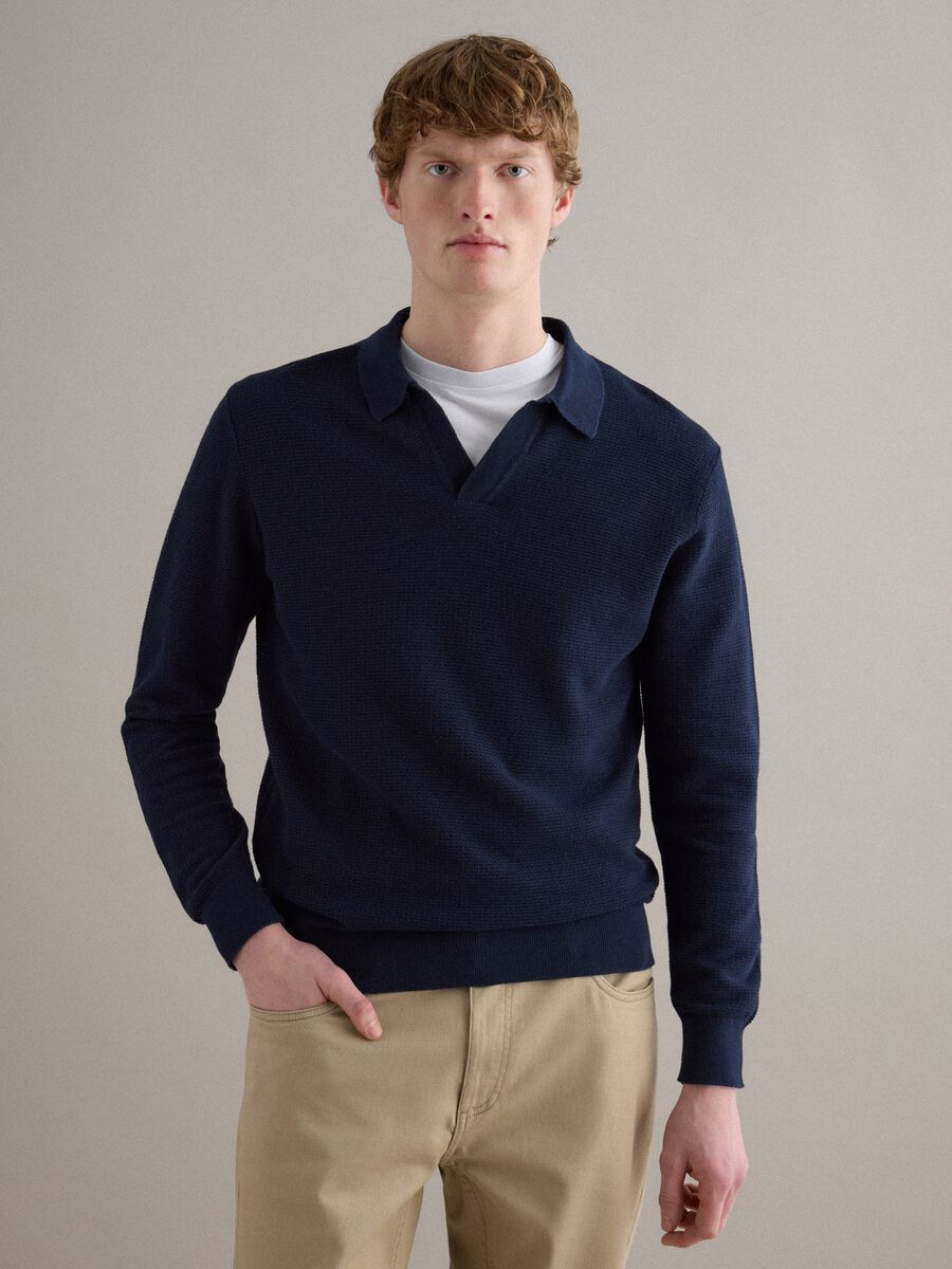 Regular fit blue pure cotton pullover with polo collar_1