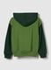 Green hooded sweatshirt with full zip_1