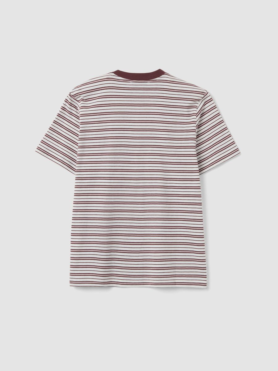 Multicolour relaxed-fit striped pure cotton T-shirt with chest embroidery_1