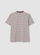 Multicolour relaxed-fit striped pure cotton T-shirt with chest embroidery_1