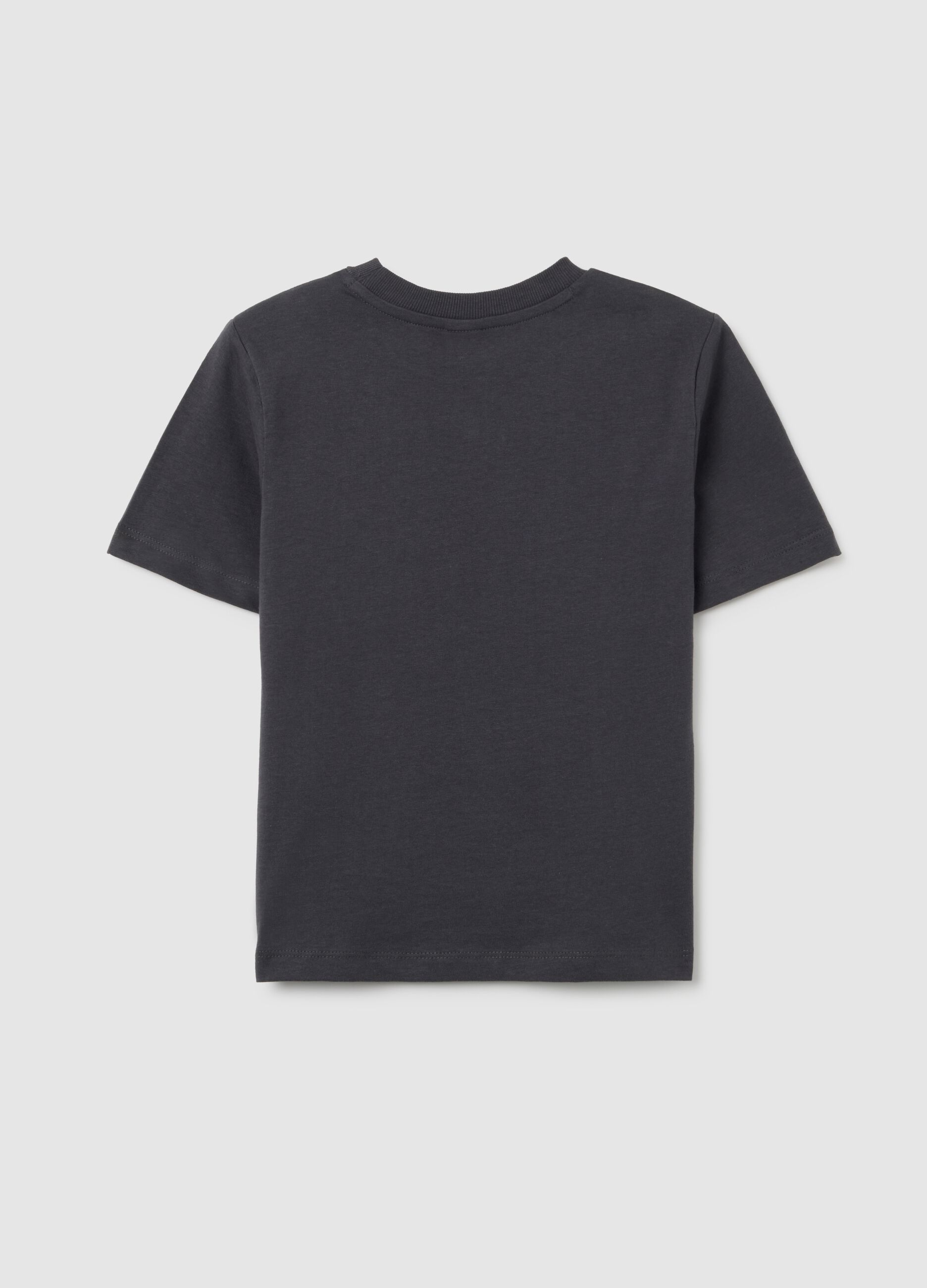 Children's grey pure cotton regular fit T-shirt with RAD print