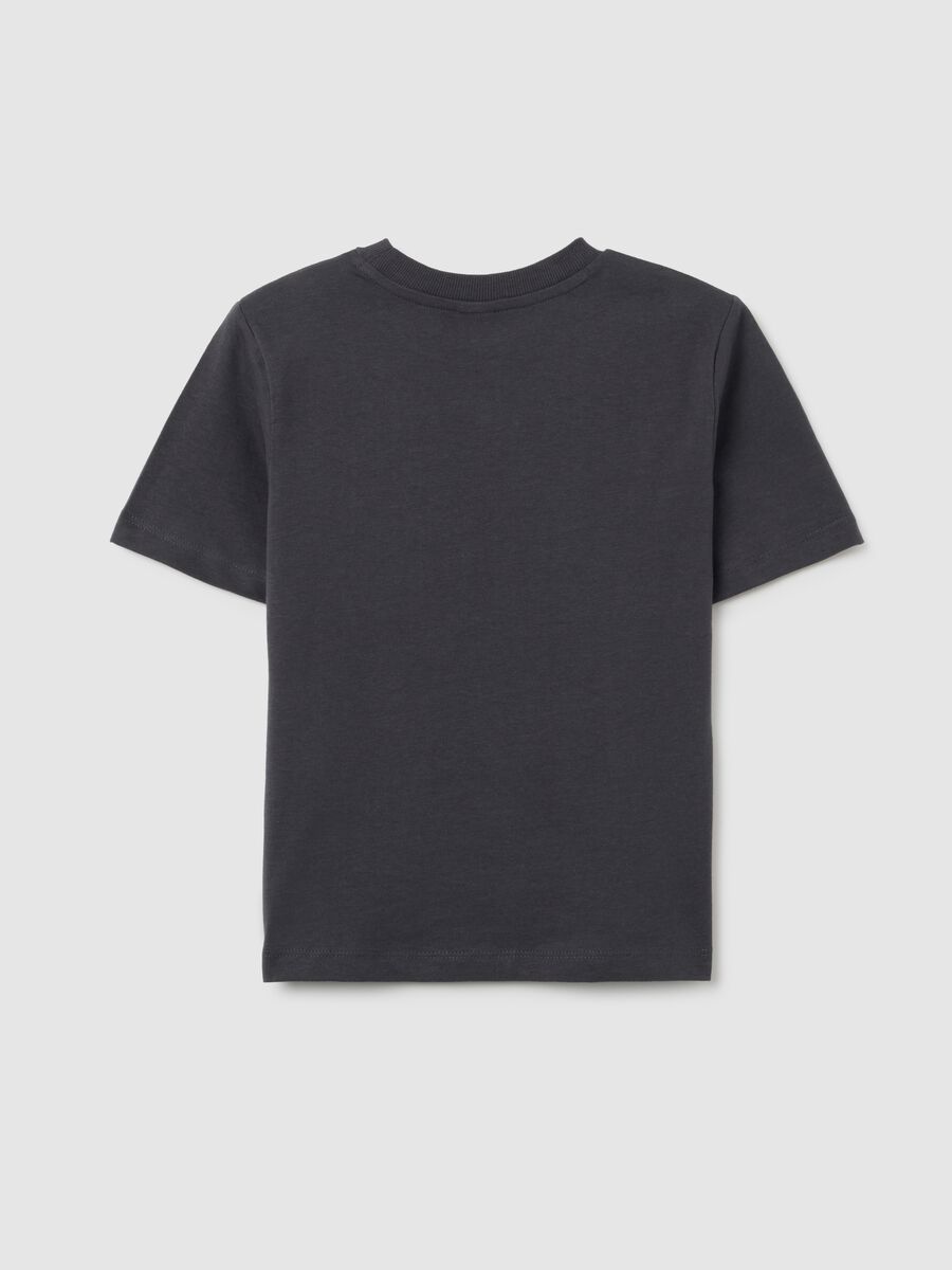 Children's grey pure cotton regular fit T-shirt with RAD print_1