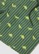 Green striped dinosaur print boys&rsquo; swim shorts_3