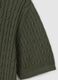 Pure Cotton Green Regular Fit Polo_5