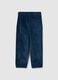 Children's Blue Regular Fit Trousers_1