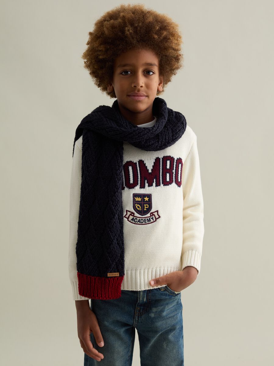 Pullover with logo design and crest embroidery_0
