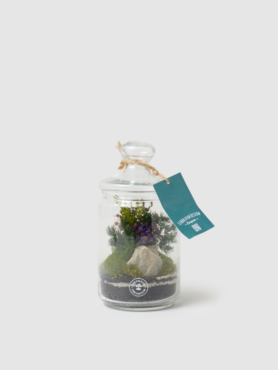 Evergreen Byron XS Terrarium_0