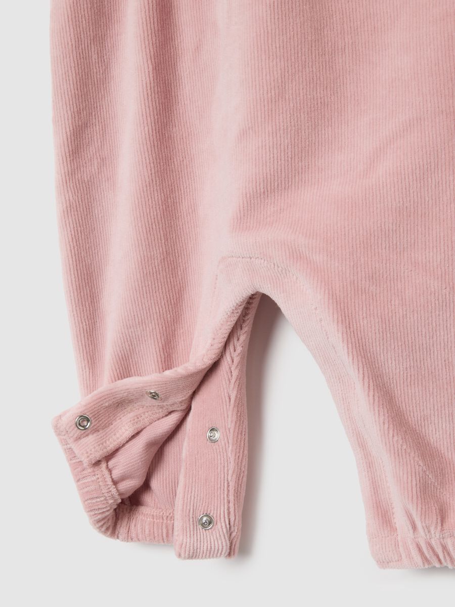 Baby girl cotton velour set in multicolour_2