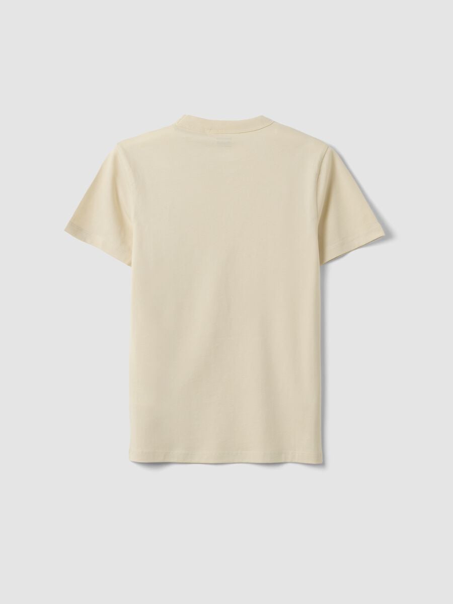 Beige pure cotton boys&rsquo; regular fit T-shirt_4