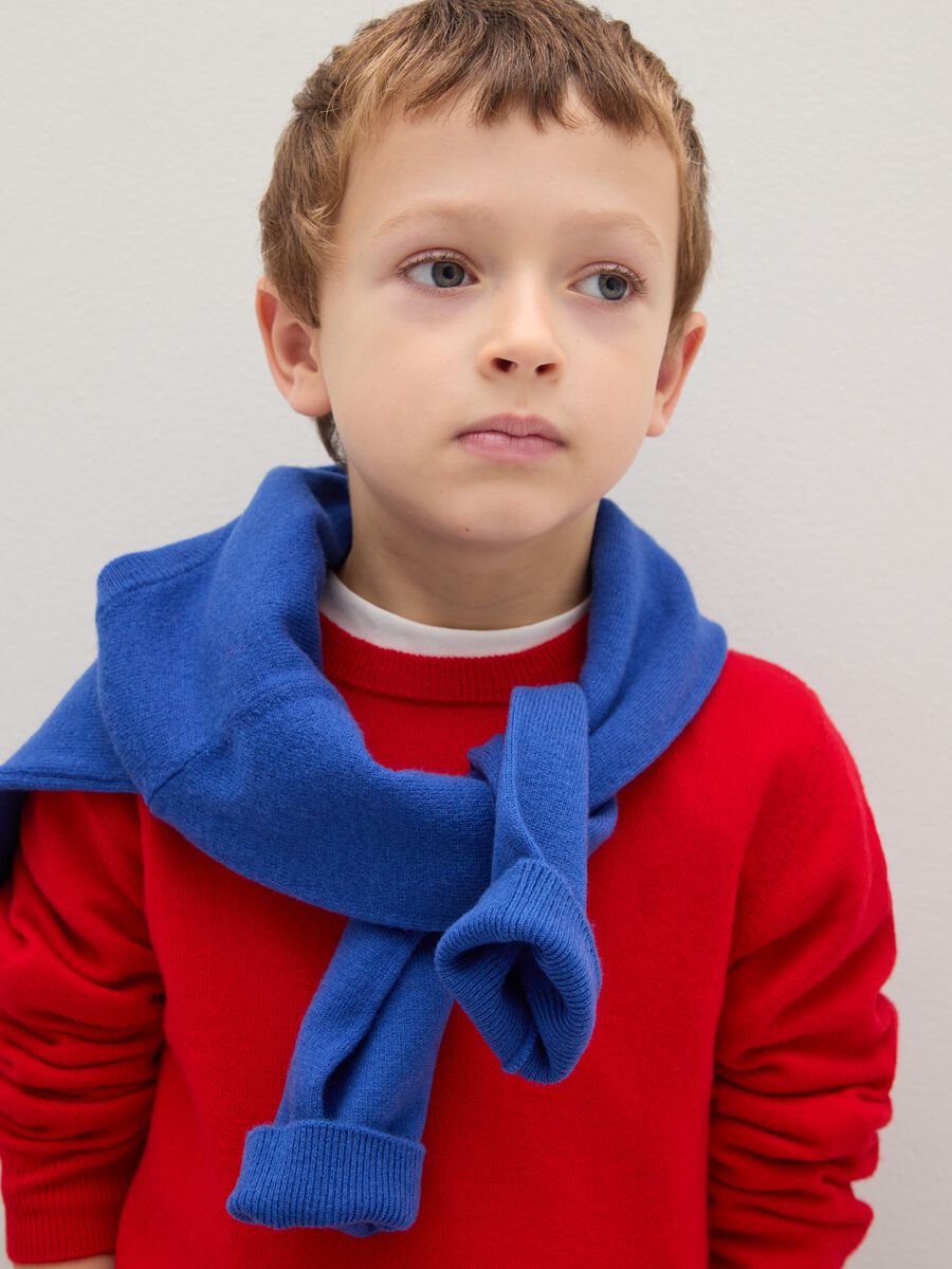Child's red pure wool jumper regular fit_2