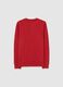 Boy's Red Cotton Crew Neck Sweatshirt in Regular Fit_4