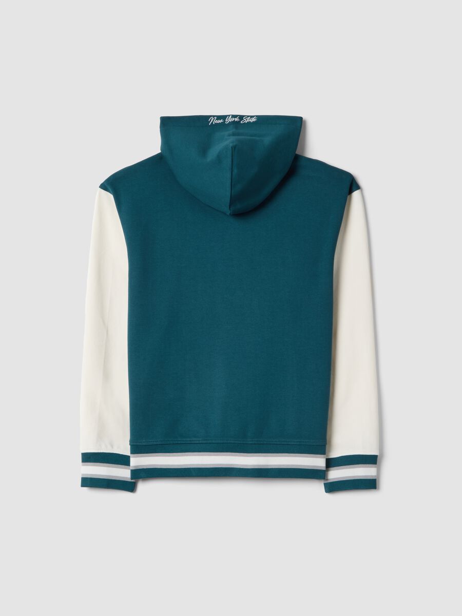 Boys' multicolour pure cotton hoodie with relaxed fit_1