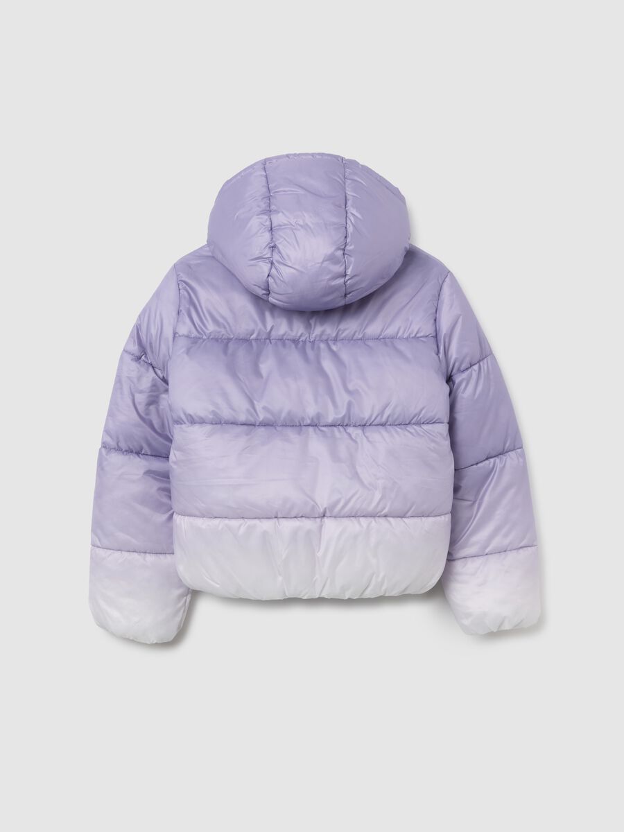 Girls' Regular Fit Multicolour Padded Jacket_1