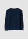 Children's regular fit blue crew neck pure cotton jumper_0