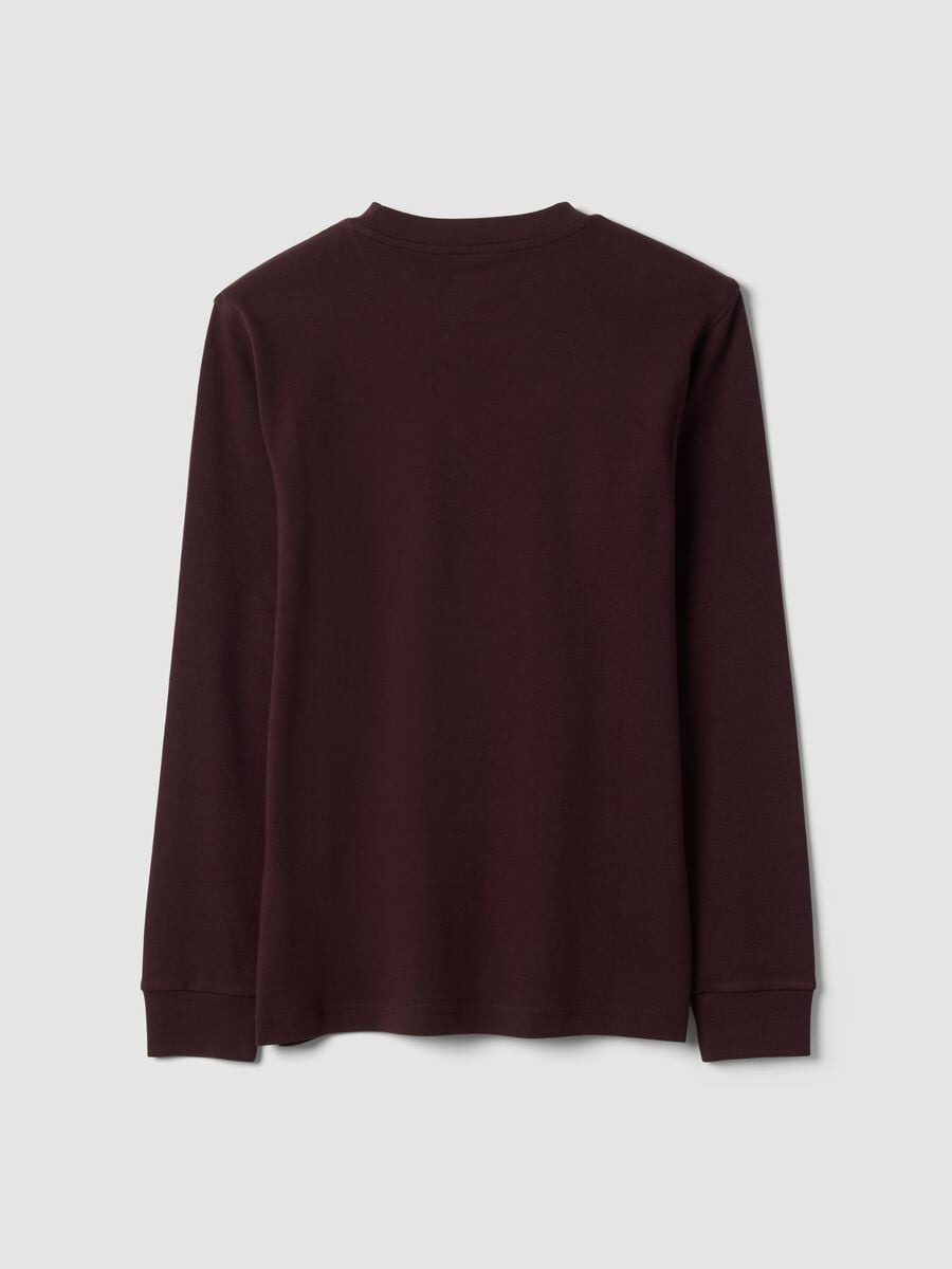 Brown pure cotton crew-neck T-shirt, regular fit_2