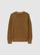 Boys' Brown Regular Fit Jumper_1