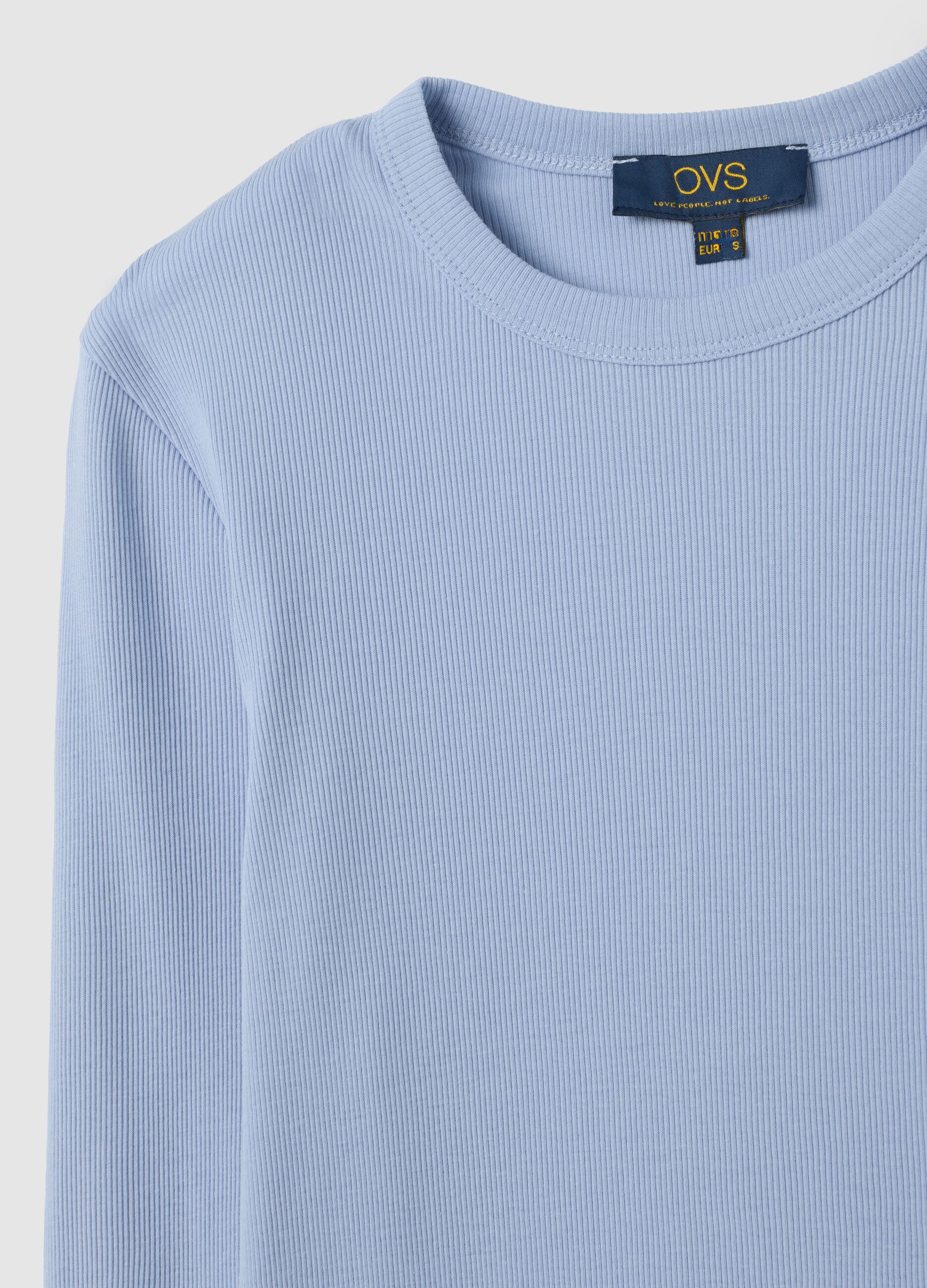 Regular Fit Blue Pure Cotton T-Shirt