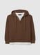 Brown Cotton Blend Sweatshirt Regular Fit_4
