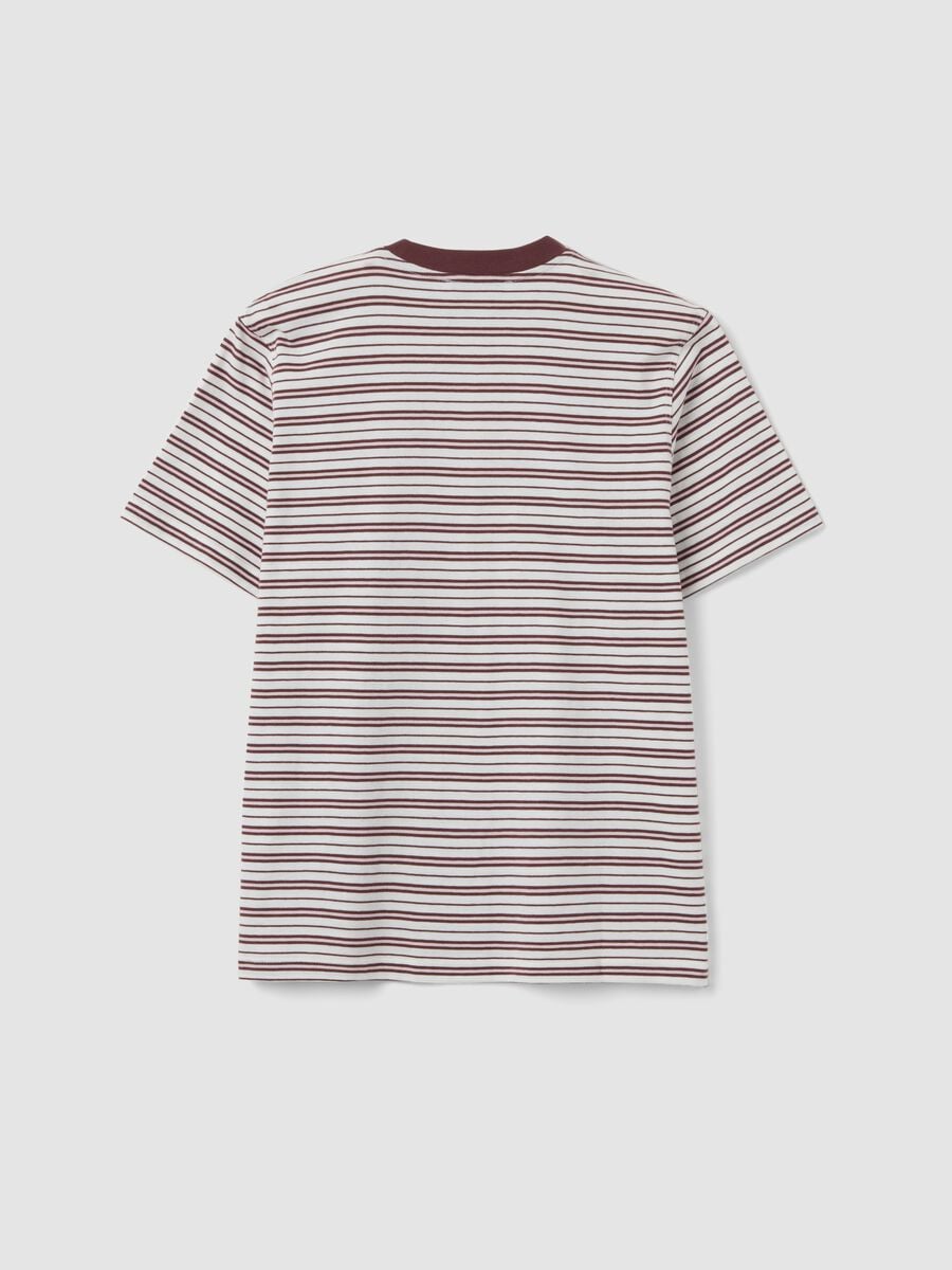 Multicolour relaxed-fit striped pure cotton T-shirt with chest embroidery_5