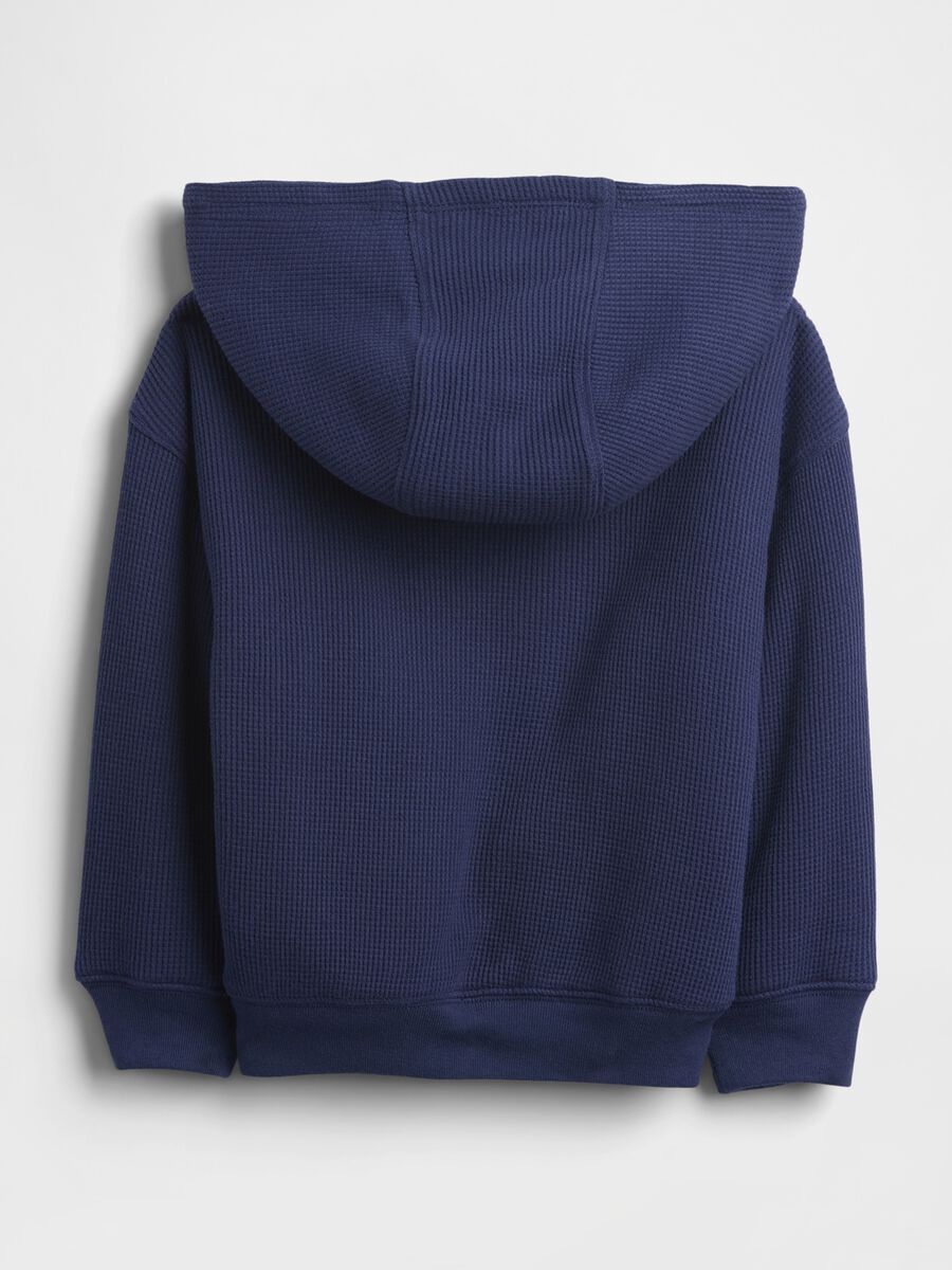Blue Hooded Sweatshirt_1