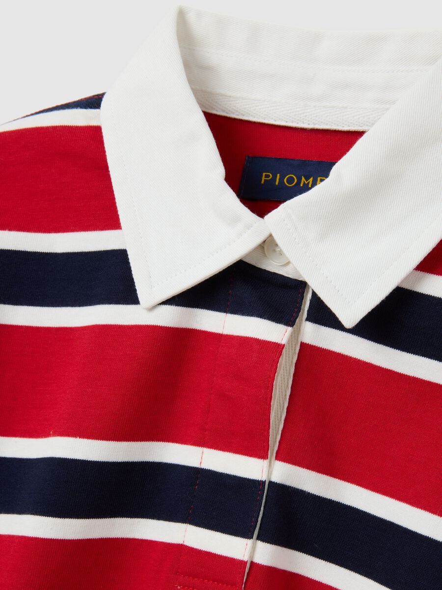 Polo in puro cotone multicolor a righe regular fit_5