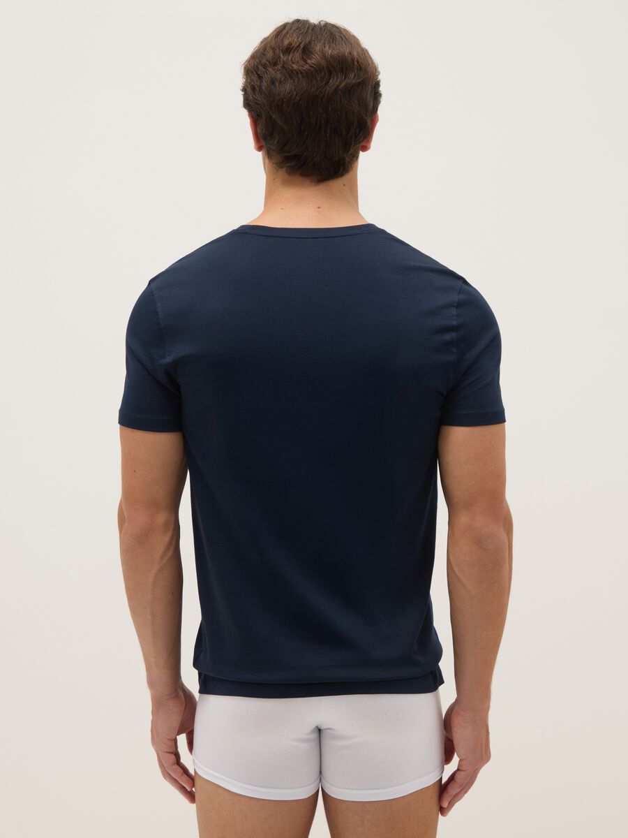 Blue pure cotton t-shirt regular fit with V-neck_2