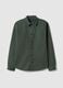 Regular fit green pure cotton shirt_4