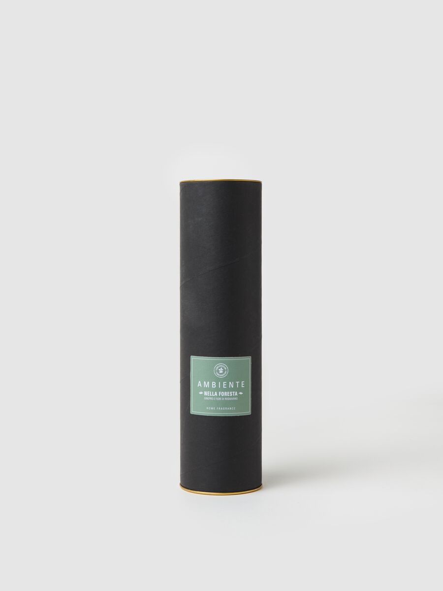 Home Fragrance Diffuser "In the Forest"_0