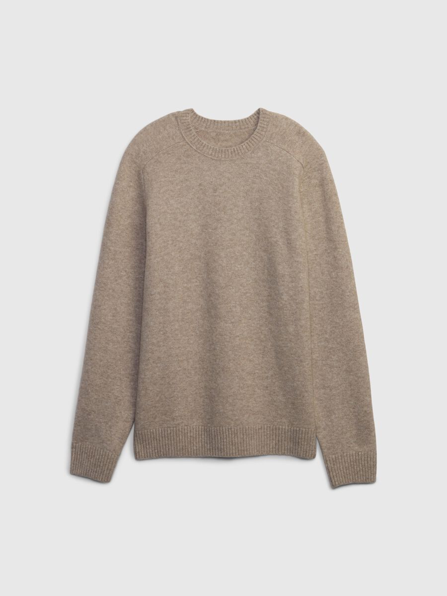 Pullover with round neck and raglan sleeves_0