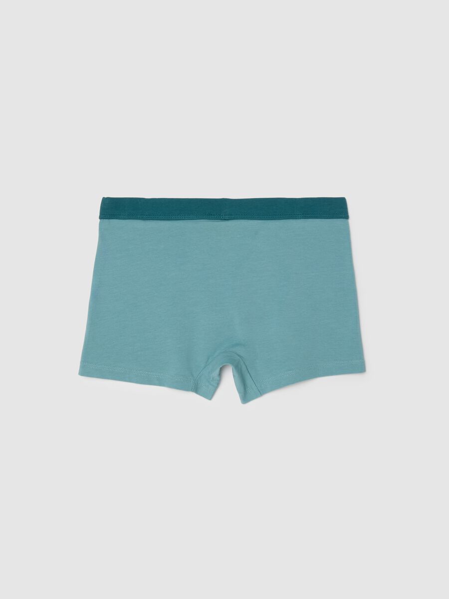 Boys' Stretch Cotton Blue Boxer Shorts_1