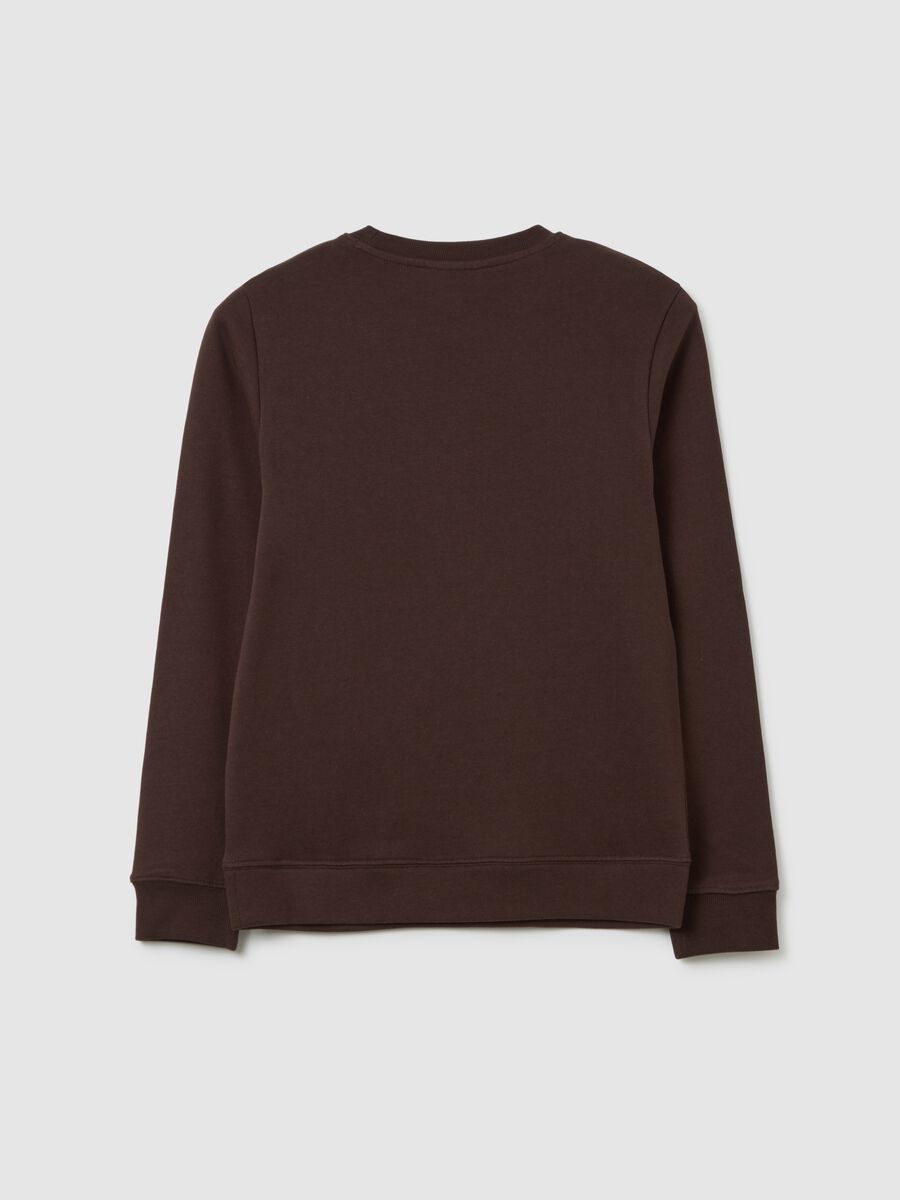 Felpa da ragazzo in puro cotone marrone regular fit_1