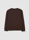 Boys' pure cotton brown sweatshirt regular fit_1