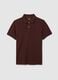 Men's Brown Pure Cotton Regular Fit Polo_4