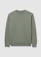 Regular fit green pure cotton sweatshirt_4