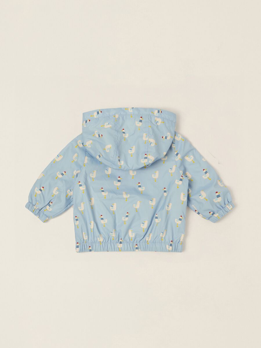 Blue baby jacket with zip and hood_2