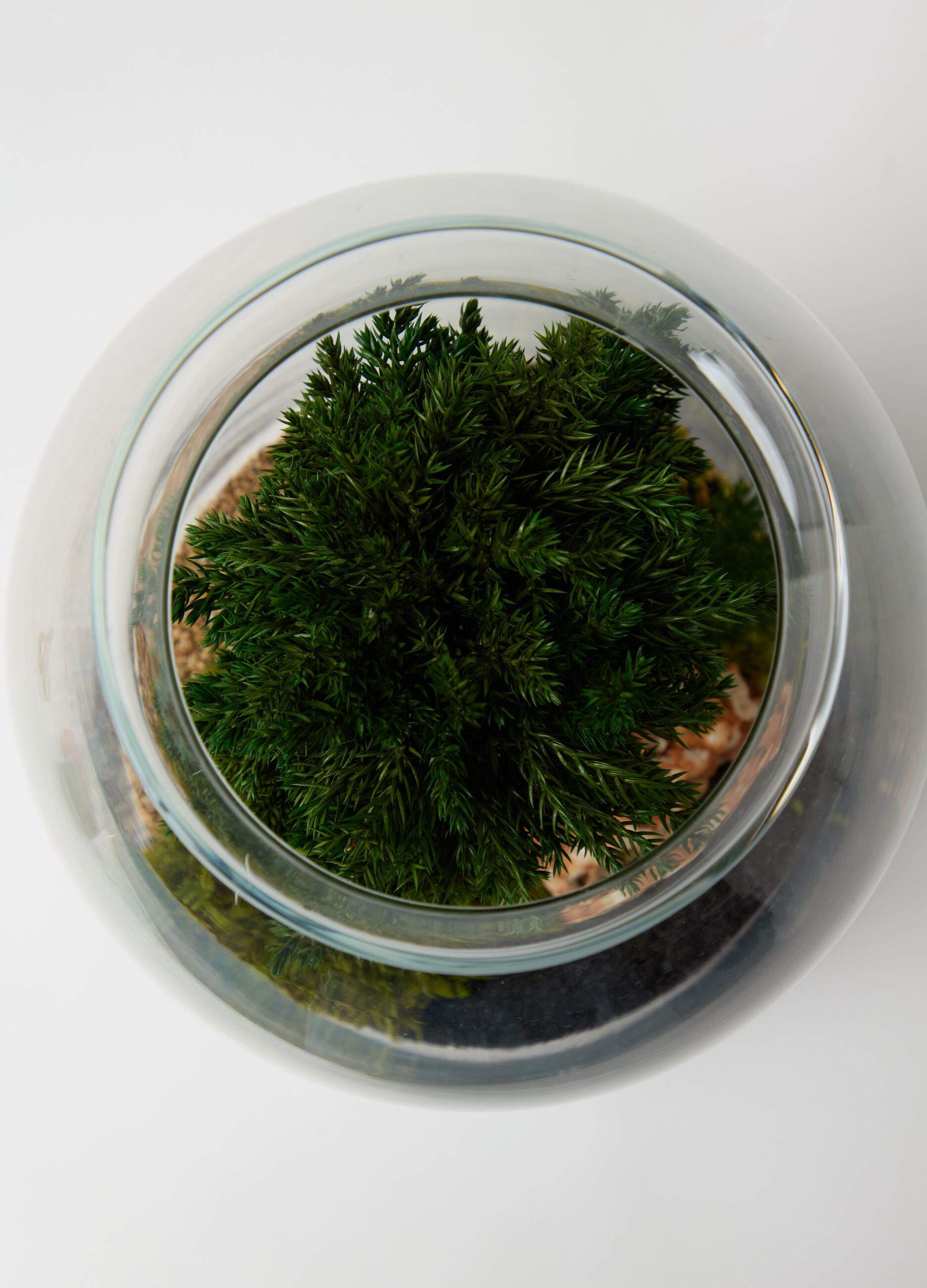 Loading img product 2