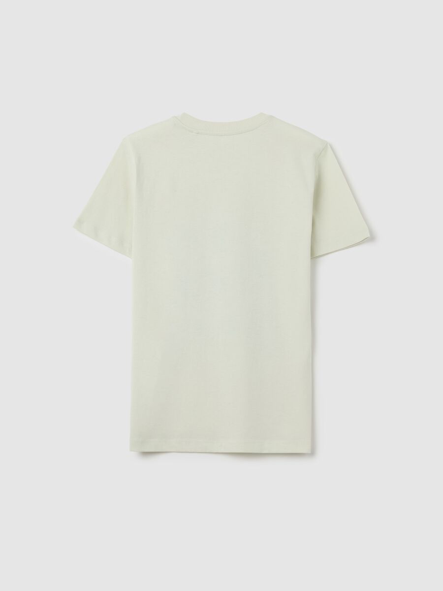T-shirt da ragazzo in puro cotone verde regular fit con stampa_4