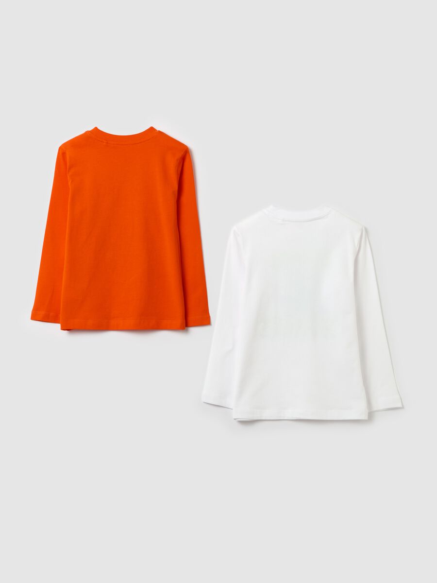Two-pack long-sleeved T-shirts in cotton with print_1