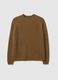Brown crew-neck regular fit sweater with knitted pattern_0