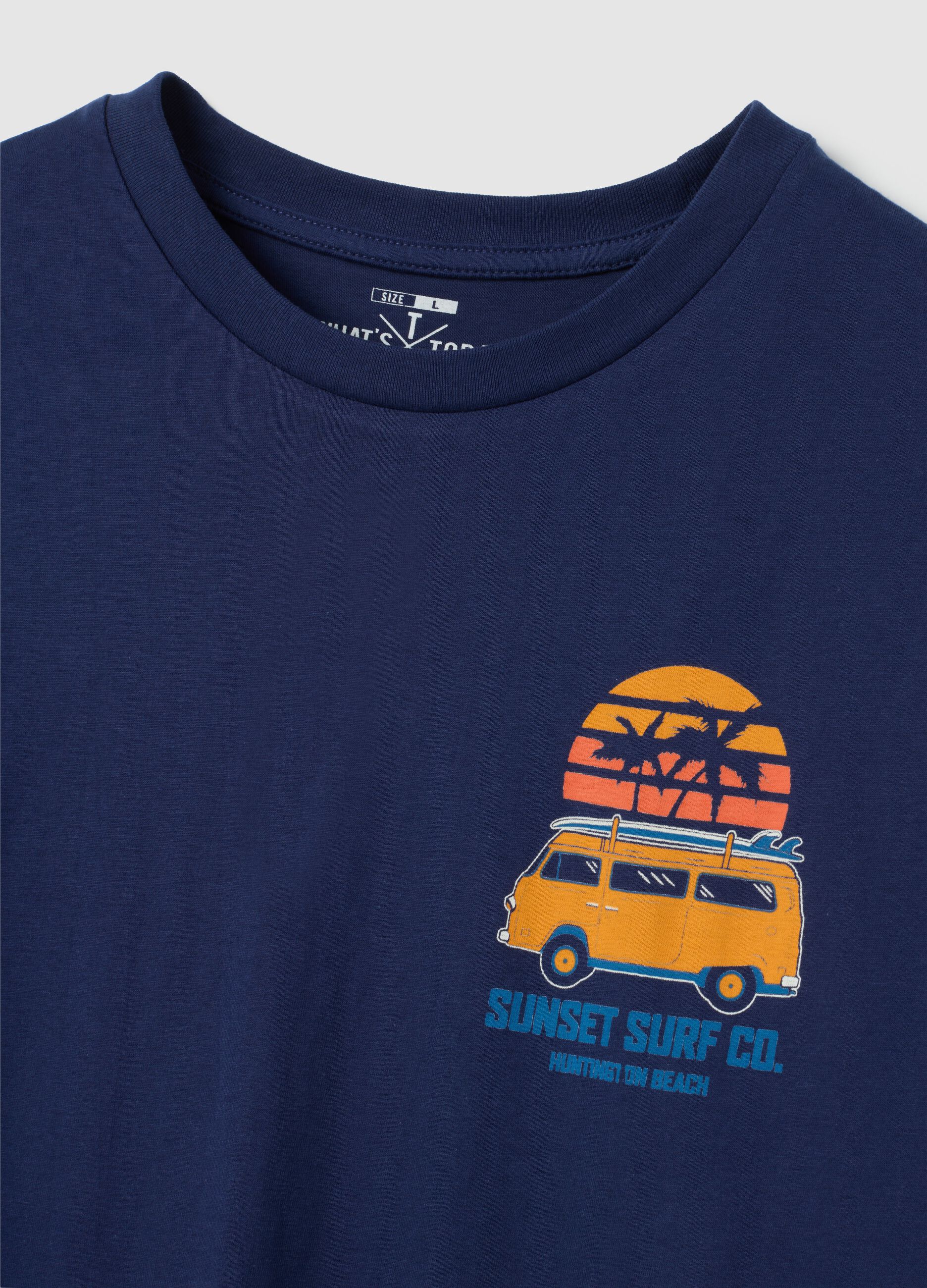 Men's blue pure cotton regular fit t-shirt with print