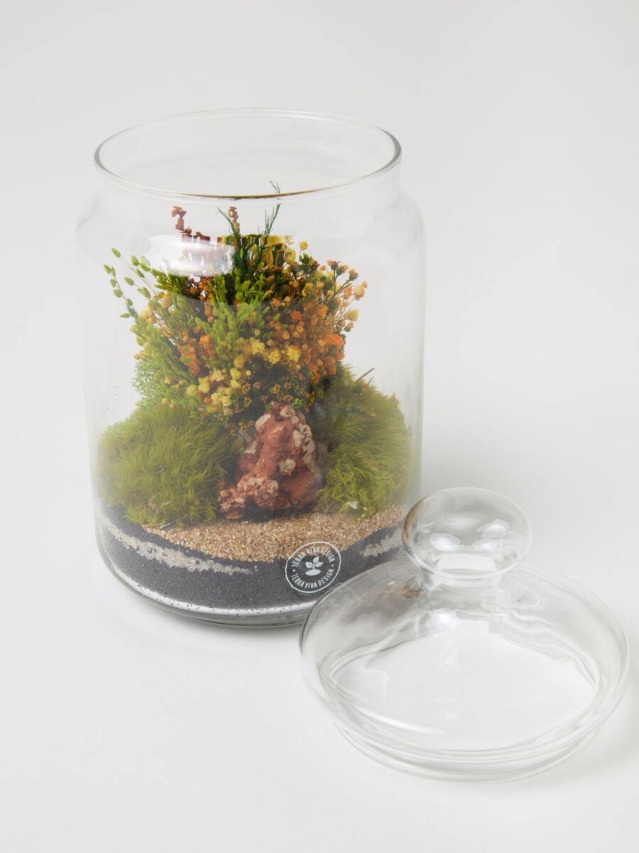 Terrarium Evergreen Byron S_1