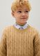 Beige pure cotton regular fit children's jumper_0